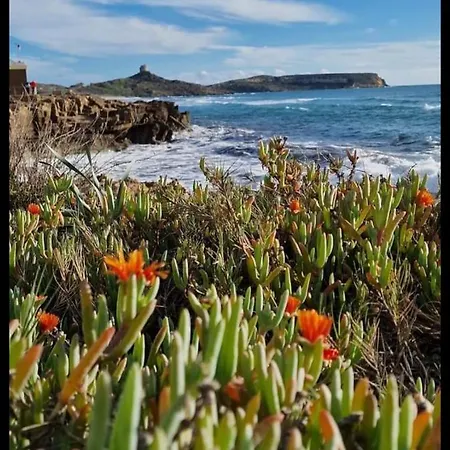 Casa Oleandro * Funtana Meiga