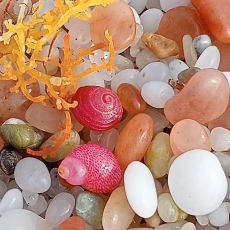 아파트 Casa Oleandro *