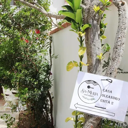 Casa Oleandro