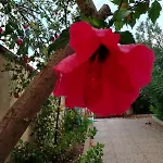 Casa Oleandro - Sa Murta * Funtana Meiga
