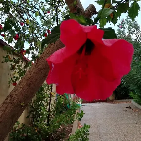 Casa Oleandro * Funtana Meiga